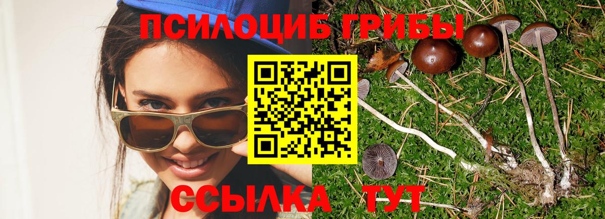 где найти наркотики  Вход с VPN  Ханты-Мансийск  Псилоцибиновые грибы Psilocybe  Псилоцибиновые грибы Psilocybine cubensis 